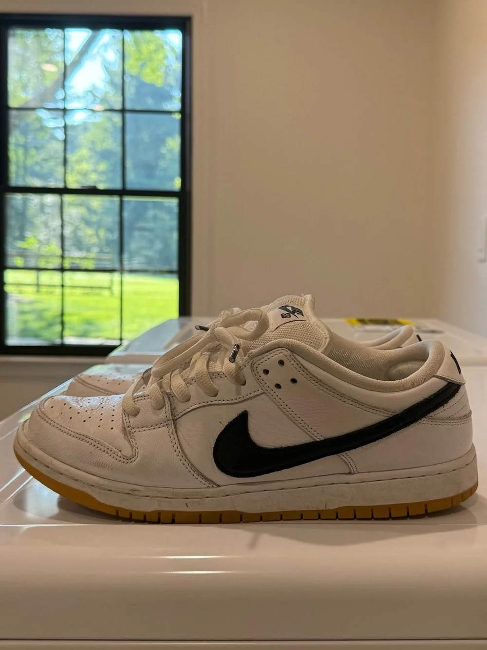 Nike SB Dunk Low Pro